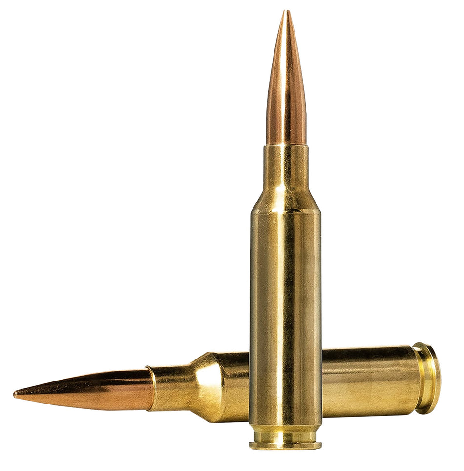 Norma 6.5mm Creedmoor Dedicated Precision Golden Target Match Hollow Point Boat Tail 130 Grain 20/Box [Item 2500]