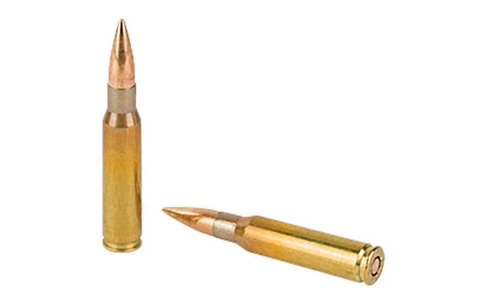 Sellier and Bellot .308 Win / 7.62x51mm Rifle Full Metal Jacket 147 Grain 20/Box [Item 1696]