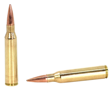 Sako .338 Lapua Magnum TRG Precision MatchKing Hollow Point Boat Tail 300 Grain 10/Box