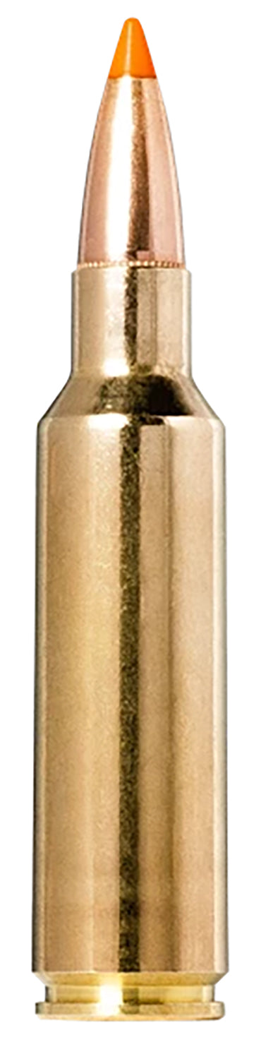 Norma .300 WSM Tipstrike Rapid Expansion Polymer Tip 170 Grain 20/Box