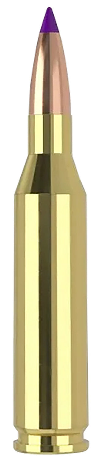 Nosler .243 Winchester Ballistic Tip SP 70 Grain 20/Box