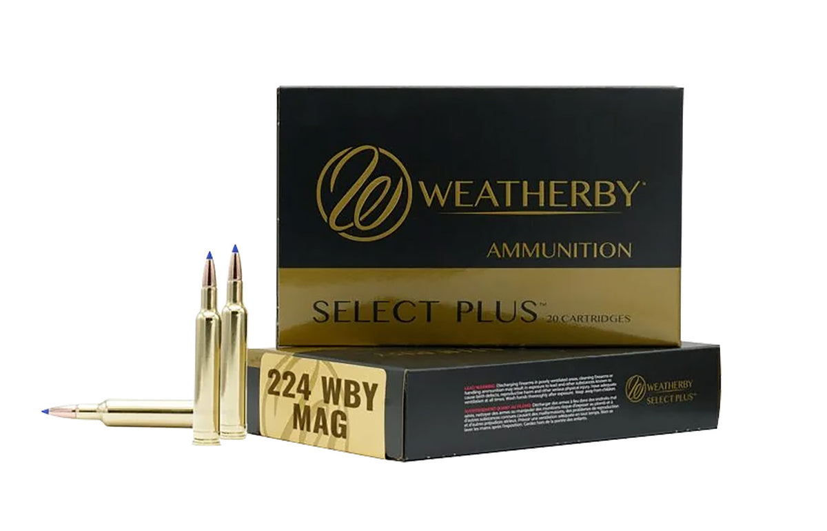 Weatherby .224 Weatherby Mag  Jacketed Hollow Point 80.5 Grain 20/Box