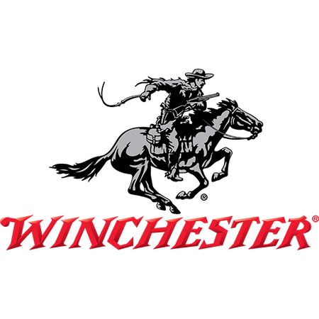 Winchester .25 ACP Hollow Point Hollow Point 45 Grain 50/Box