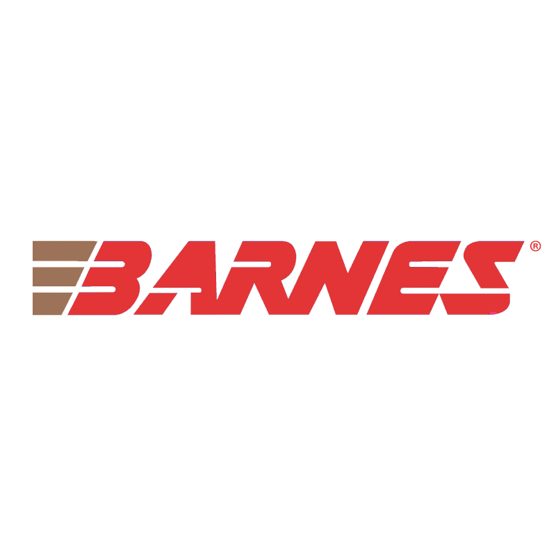BARNES STEWARD 22 CM 69GR TIPPED VARMINTKING 20RD 10BX/C