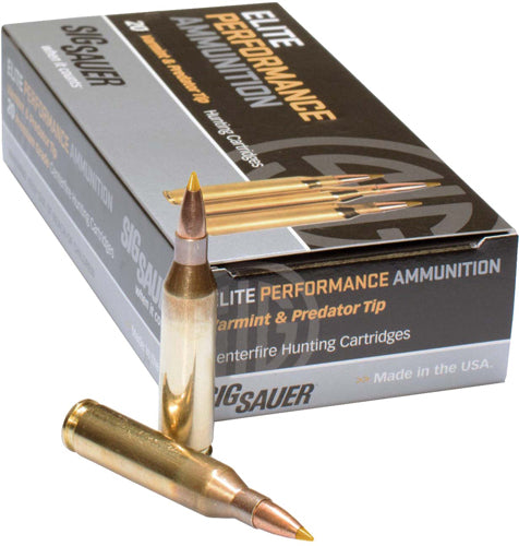 Sig Sauer .308 Win / 7.62x51mm ETH Controlled Expansion Tip 165 Grain 20/Box