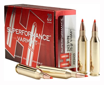 Hornady .243 Winchester Superformance Varmint Hornady V-Max 75 Grain 20/Box