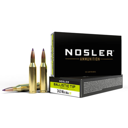 Nosler .243 Winchester  Spitzer Ballistic Tip 90 Grain 20/Box