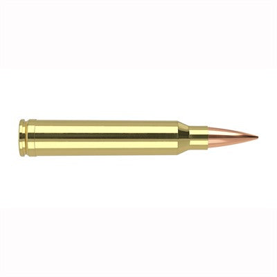 Nosler .300 WSM Trophy Grade Nosler Spitzer AccuBond Long Range 190 Grain 20/Box