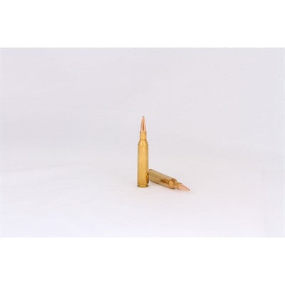 HSM 6mm Remington Trophy Gold Berger Hunting VLD Match 95 Grain 20/Box