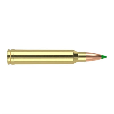Nosler .300 Winchester Mag Hunting Spitzer Ballistic Tip 180 Grain 20/Box
