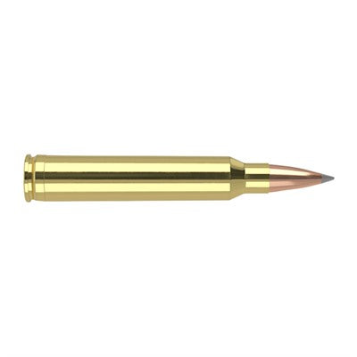 Nosler .300 Winchester Mag Trophy Grade Nosler Spitzer AccuBond Long Range 190 Grain 20/Box