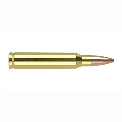 Nosler .223 Remington Match Grade Custom Competition Hollow Point Boat Tail 69 Grain 20/Box