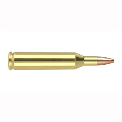 Nosler .17 Remington Varmageddon Flat Base Hollow Point 20 Grain 20/Box
