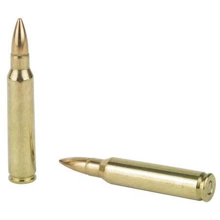 PMC Bronze 223 Rem 55 gr Full Metal Jacket Boat Tail 20 Per Box - 1000/Case
